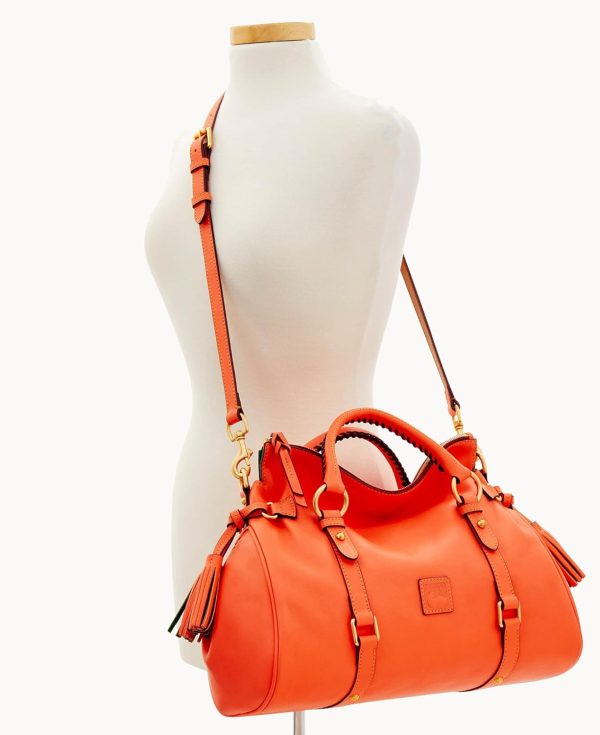 Dooney & Bourke Satchel Bags for Women, Large Florentine Satchel Handbag with Optional Crossbody Bag Strap bourke s parrot