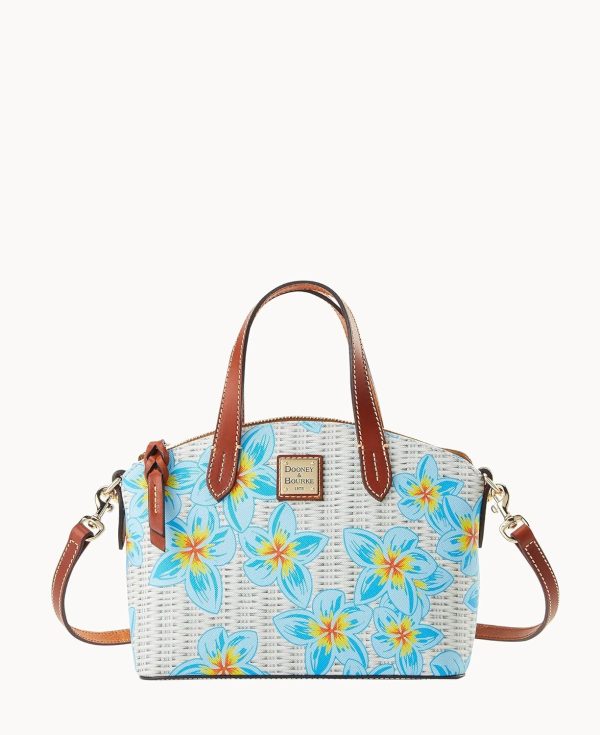 Dooney & Bourke Ruby Crossbody Bag and Flap Wallet Bundle Set-1