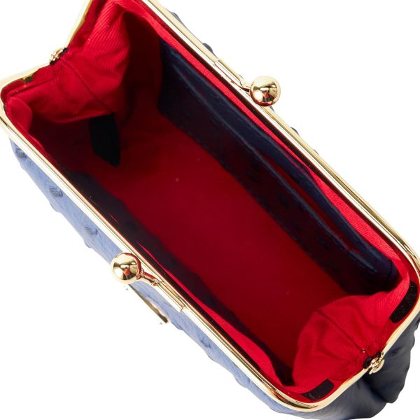 Dooney & Bourke Ostrich Large Framed Purse-3