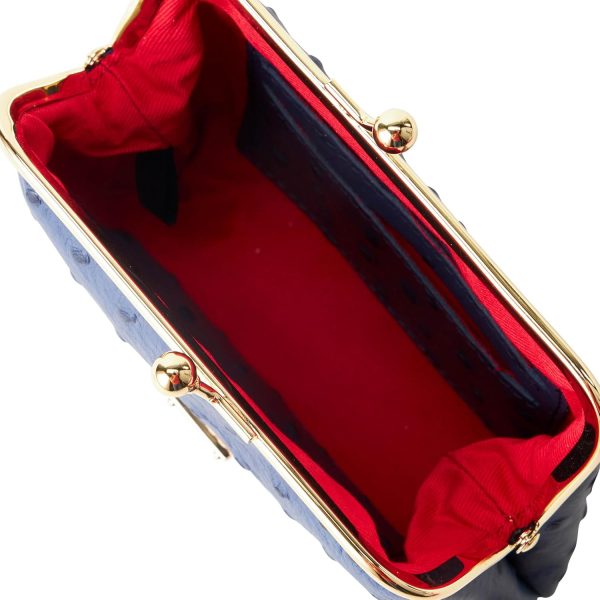 Dooney & Bourke Ostrich Large Framed Purse-4